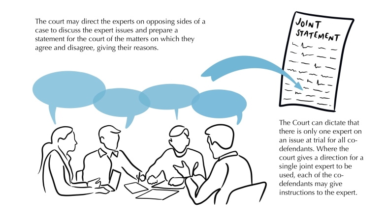 Joint experts