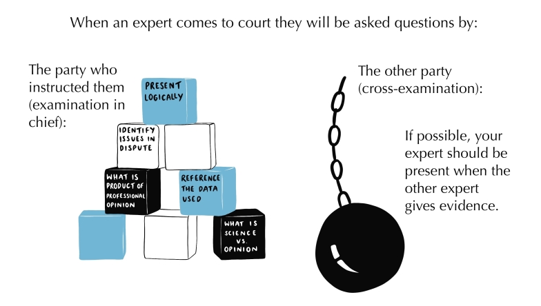 Giving evidence in court