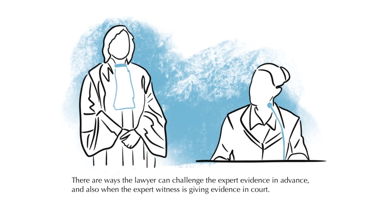 Ways of challenging an expert