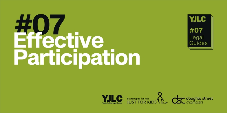 Legal Guide #7 - Effective Participation